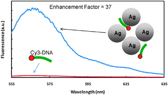 Graphical abstract: Fluorescence enhancement at hot-spots: the case of Ag nanoparticle aggregates