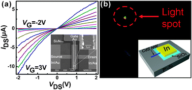 Graphical abstract: Tuning the electrical transport properties of n-type CdS nanowiresvia Ga doping and their nano-optoelectronic applications