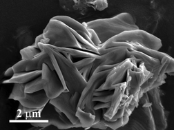 Graphical abstract: Niobium phosphates as new highly selective catalysts for the oxidative dehydrogenation of ethane