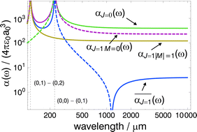 Graphical abstract: Infrared dynamic polarizability of HD+ rovibrational states