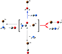 Graphical abstract: Modeling the interactions between peptide functions and Sr2+: formamide–Sr2+ reactions in the gas phase