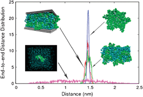 Graphical abstract: Structural properties of polystyrene oligomers in different environments: a molecular dynamics study