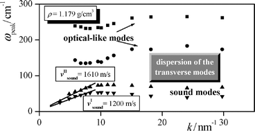 Graphical abstract: Collective dynamics of supercooled water close to the liquid–liquid coexistence lines