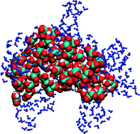 Graphical abstract: Water adsorption around oxalic acid aggregates: a molecular dynamics simulation of water nucleation on organic aerosols