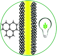 Graphical abstract: Graphene-based electrochemical energy conversion and storage: fuel cells, supercapacitors and lithium ion batteries