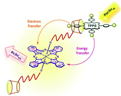 Graphical abstract: Switching the photoinduced processes in host–guest complexes of β-cyclodextrin-substituted silicon(iv) phthalocyanines and a tetrasulfonated porphyrin