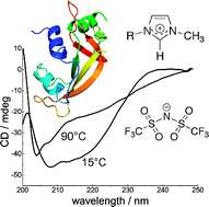 Graphical abstract: How ionic liquids can help to stabilize native proteins