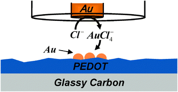 Graphical abstract: Deposition of Au and Ag nanoparticles on PEDOT