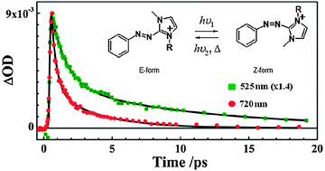 Graphical abstract: Isomerization dynamics of the 2-phenylazo-1,3-dimethylimidazolium cation photoexcited to the S2 (π, π*) state as studied by transient absorption spectroscopy in the time domain of 10−13 to 103 seconds