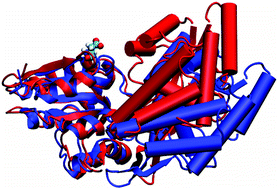 Graphical abstract: Studying functional dynamics in bio-molecules using accelerated molecular dynamics