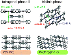 Graphical abstract: Substrate selected polymorphism of epitaxially aligned tetraphenyl-porphyrin thin films