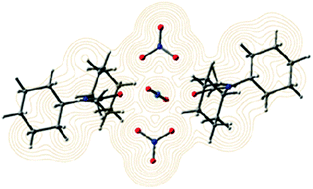 Graphical abstract: A density functional theory study of uranium(vi) nitrate monoamide complexes