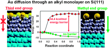 Graphical abstract: The role of the organic layer functionalization in the formation of silicon/organic layer/metal junctions with coinage metals