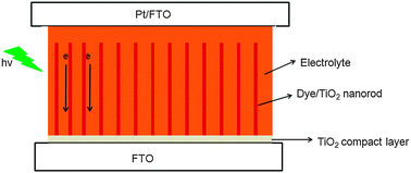 Graphical abstract: Kinetics of electron recombination of dye-sensitized solar cells based on TiO2 nanorod arrays sensitized with different dyes