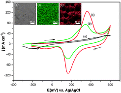 Graphical abstract: Preparation of CoNi high surface area porous foams by substrate controlled electrodeposition