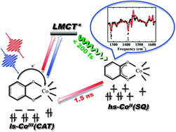 Graphical abstract: Transient infrared spectroscopy: a new approach to investigate valence tautomerism