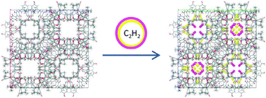 Graphical abstract: Acetylene and argon adsorption in a supramolecular organic zeolite