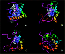Graphical abstract: Specific recognition between intrinsically disordered LEF and DNA