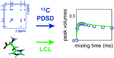 Graphical abstract: A first-principles description of proton-driven spin diffusion