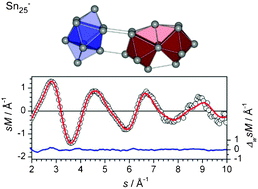 Graphical abstract: Structures of medium sized tin cluster anions