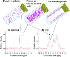 Graphical abstract: NMR properties of sedimented solutes