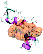 Graphical abstract: Membrane mediated regulation in free peptides of HIV-1 gp41: minimal modulation of the hemifusion phase