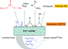 Graphical abstract: Mechanistic investigations on dimethyl carbonate formation by oxidative carbonylation of methanol over a CuY zeolite: an operandoSSITKA/DRIFTS/MS study