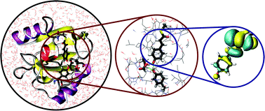 Graphical abstract: Multiscale modelling