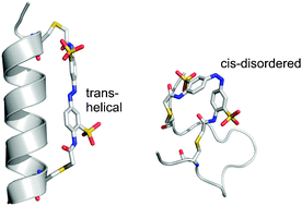 Graphical abstract: Azobenzene photoswitches for biomolecules