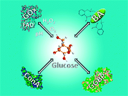 Graphical abstract: Optical methods for sensing glucose