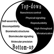 Graphical abstract: Integrating top-down and self-assembly in the fabrication of peptide and protein-based biomedical materials