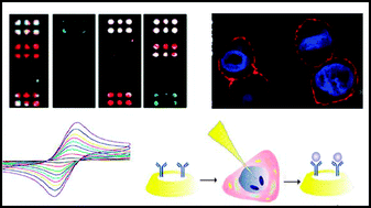 Graphical abstract: Cancer detection using nanoparticle-based sensors