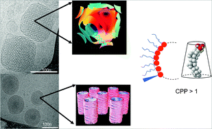 Graphical abstract: Lyotropic liquid crystal engineering–ordered nanostructured small molecule amphiphile self-assembly materials by design