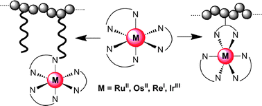 Graphical abstract: Photogenerated avenues in macromolecules containing Re(i), Ru(ii), Os(ii), and Ir(iii) metal complexes of pyridine-based ligands