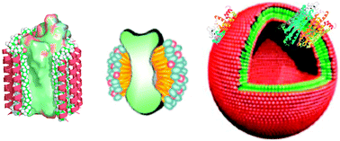 Graphical abstract: Designer peptide surfactants stabilize diverse functional membrane proteins