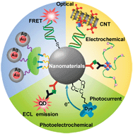 Graphical abstract: Signal amplification using functional nanomaterials for biosensing