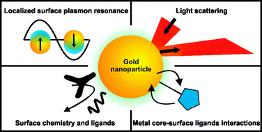 Graphical abstract: Gold nanoparticle-enabled biological and chemical detection and analysis