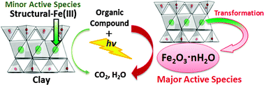 Graphical abstract: Clarification of photocatalysis induced by iron ion species naturally contained in a clay compound