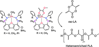 Graphical abstract: Exploring the versatility of a bis(phosphinimine) pincer ligand: effect of sterics on structure and lactide polymerization activity of cationic zinc complexes