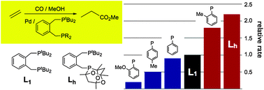 Graphical abstract: Efficient and chemoselective ethene hydromethoxycarbonylation catalysts based on Pd-complexes of heterodiphosphines o-C6H4(CH2PtBu2)(CH2PR2)