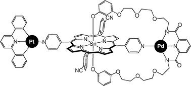 Graphical abstract: Open and closed states of a porphyrin based molecular turnstile