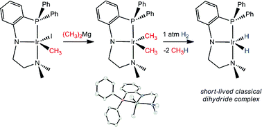 Graphical abstract: Synthesis and coordination chemistry of organoiridium complexes supported by an anionic tridentate ligand