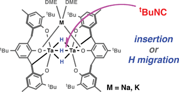 Graphical abstract: Insertion and reduction chemistry of isocyanide with a cyclometalated ditantalum hydride complex