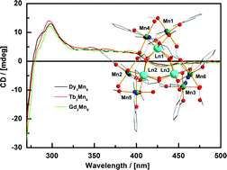 Graphical abstract: Enantiopure sandwich-type nonanuclear LnIII3MnIII6 clusters