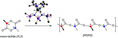 Graphical abstract: Scandium alkyl and amide complexes containing a cyclen-derived (NNNN) macrocyclic ligand: synthesis, structure and ring-opening polymerization activity toward lactide monomers