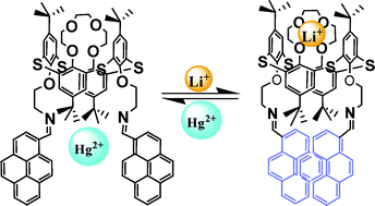 Graphical abstract: Ratiometric detection of Hg2+ ions: an allosterically synchronized Hg2+/Li+ switch based on thiacalix[4]crown