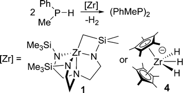 Graphical abstract: Differences in the stability of zirconium(IV) complexes related to catalytic phosphine dehydrocoupling reactions