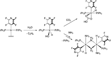 Graphical abstract: Facile oxidative addition of water at iridium: reactivity of trans-[Ir(4-C5NF4)(H)(OH)(PiPr3)2] towards CO2 and NH3