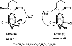 Graphical abstract: Competitive formation of cis and trans derivatives in the nucleophilic substitution reactions of cyclophosphazenes having a mono-spiro P–NHR group