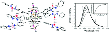 Graphical abstract: Design and synthesis of luminescence chemosensors based on alkynyl phosphine gold(i)–copper(i) aggregates